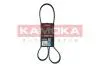 Ремiнь клиновий 6PK1318 Fiat Punto/Opel Combo 1.3 CDTI 05- KAMOKA 7016096 (фото 1)
