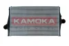 Iнтеркулер KAMOKA 7750096 (фото 1)
