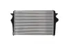 Радіатор інтеркулера Ford Galaxy/VW Sharan 1.9/2.0TDI 02-10 KAMOKA 7750139 (фото 2)