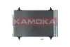 Радіатор кондиціонера Citroen C4 Picasso 07-13/Peugeot 3008 09-16/5008 09-17 (361x528x16) KAMOKA 7800214 (фото 2)