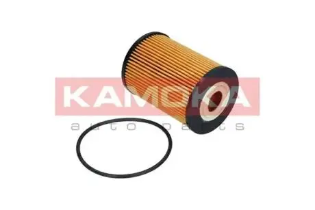Фільтр мастила KAMOKA F110301