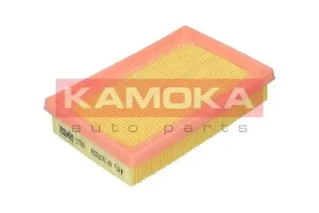 Фільтр повітряний KAMOKA F250201