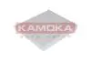 Фильтр воздуха салона KAMOKA F405401 (фото 1)
