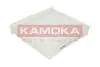Фильтр воздуха салона KAMOKA F410501 (фото 1)