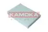 Фільтр повітря салону KAMOKA F419401 (фото 1)