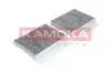 Фильтр воздуха салона KAMOKA F502501 (фото 1)