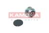 Автозапчасть KAMOKA RC081 (фото 3)