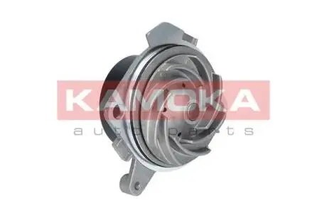 Автозапчасть KAMOKA T0001