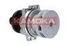 Насос охолоджуючої рідини KAMOKA T0058 (фото 1)