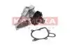 Насос охолоджуючої рідини KAMOKA T0060 (фото 1)
