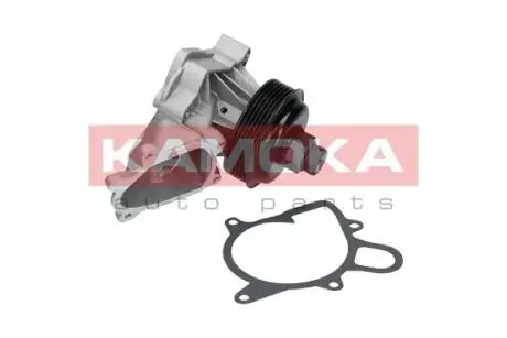 Насос охлаждающей жидкости KAMOKA T0060