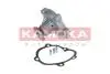 Насос води KAMOKA T0072 (фото 1)