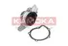Насос охолоджуючої рідини KAMOKA T0092 (фото 1)