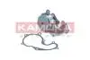 Насос охолоджуючої рідини KAMOKA T0128 (фото 1)