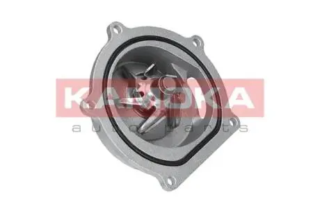 Помпа води KAMOKA T0145