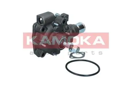 Автозапчасть KAMOKA T0165