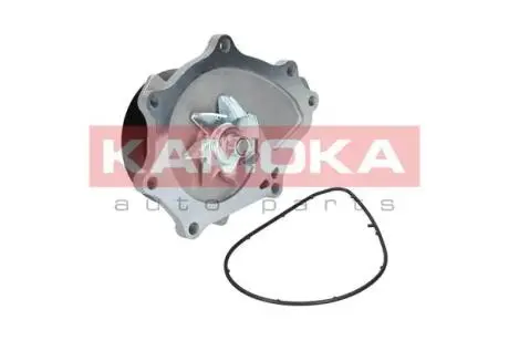 Помпа води KAMOKA T0176