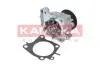 Насос охолоджуючої рідини KAMOKA T0206 (фото 1)