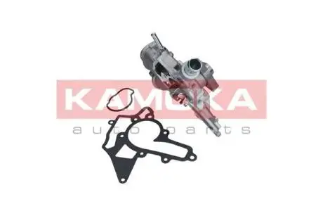 Насос води KAMOKA T0226