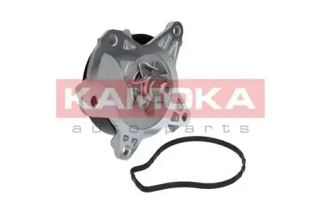 Насос охолоджуючої рідини KAMOKA T0262
