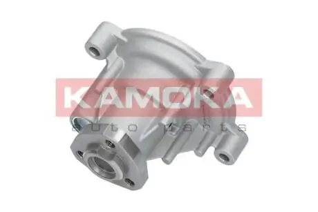Автозапчасть KAMOKA T0272