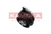 Насос KAMOKA T0278 (фото 1)