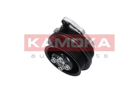 Насос KAMOKA T0278