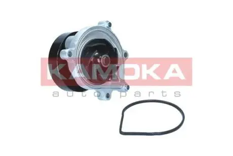 Помпа води KAMOKA T0299