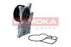 Помпа води BMW 3 (F30/F80/F34)/4 (F36/F33/F83)/5 (F10/F07/F11)/6 (F06/F12/F13)/7 (F01-F04) 10- KAMOKA T0300 (фото 1)