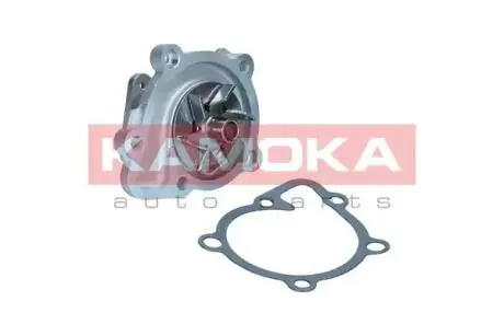 Насос охолоджуючої рідини KAMOKA T0311