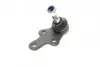 Опора шаровая (передняя/снизу)) Ford Focus II 04-12/C-Max 07-10/Volvo C30/C70/S40/V50 04-13 KAPIMSAN 08-04705 (фото 4)
