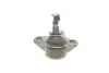 Опора шаровая (передняя/снизу)/R) Audi A1 10-/Seat Ibiza 02-15/Skoda Fabia 99-14/Rapid 12-/VW Polo 01 KAPIMSAN 23-06223 (фото 2)