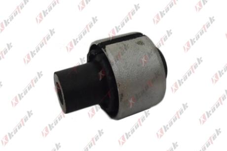 -TEKNOROT BMW С/блок важеля задн.E53 X5 00- Kautek BM-BS045