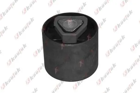 -TEKNOROT BMW С/блок переднього важеля (верхній) 5 серія E34 88- Kautek BM-BS049
