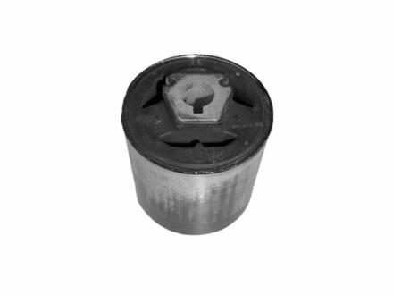 -TEKNOROT BMW С/блок передн.важеля X3, X5 E53 00- Kautek BM-BS061