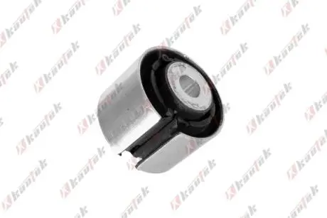 -TEKNOROT BMW С/блок заднього важеля 7 F01,5 F10 Kautek BM-BS087