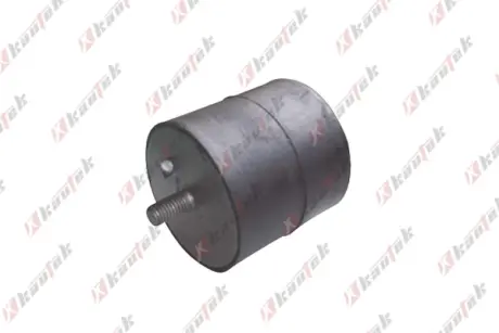 -TEKNOROT BMW подушка двигунуна E34 520-525 двигун М20-М50 Kautek BM-EM021