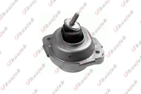 -TEKNOROT BMW подушка двигуна ліва X3 (E83) Kautek BM-EM048