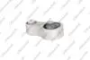 -TEKNOROT FORD подушка АКПП Fiesta VI 1.25/1.6 08- Kautek FD-EM049 (фото 1)
