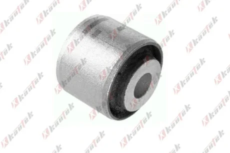 -TEKNOROT DB С/блок задн важеля W140/221 Kautek ME-BS206