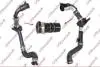 RENAULT патрубок інтеркулера Kangoo 1.5dCI 08- Kautek RE-TH052 (фото 1)