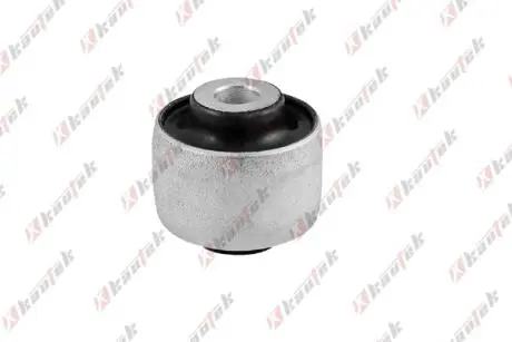 -TEKNOROT VOLVO С/блок переднього важеля S60/80,XC70 00- Kautek VO-BS023