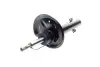 Амортизатор (передний) BMW X3 (E83) 2.0-3.0D 03-11 (L) M47/M54/M57/N47/N52 PARTS KAVO SSA-10469 (фото 9)