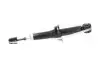 Амортизатор (задній) Citroen C4/ Mitsubishi ASX/ Peugeot 4008 10- PARTS KAVO SSA-5510 (фото 4)