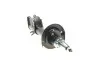 Амортизатор (передний) Mitsubishi Colt 04-12 (L) PARTS KAVO SSA-5541 (фото 5)