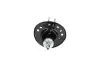 Амортизатор (передній) Nissan Juke 10- (R) PARTS KAVO SSA-6528 (фото 3)
