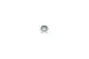 Амортизатор (передний) Ford Maverick 2.4i/2.7TD 93-98/Nissan Pathfinder/Terrano 2.4-3.0 86-07 PARTS KAVO SSA-6565 (фото 6)