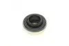 Подушка амортизатора (переднего) + подшипник Fiat Panda/Punto 99-12 PARTS KAVO SSM-10026 (фото 6)