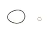 Фильтр масляный BMW 1 (F21)/3(F30/F80)/5(F10)/7(G11/G12) 12- (B37/B38/B47/B48) PARTS KAVO TO-155 (фото 2)