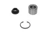 Подшипник ступицы (задней) Ford Fiesta 01-/Mazda 2 02-14 (29x53x37) (+ABS) PARTS KAVO WBK-4516 (фото 1)